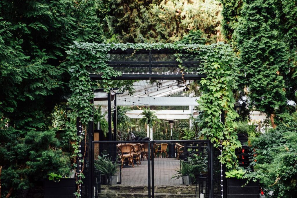 Biofilinis dizainas: kaip įsileisti gamtą į vidų (ne tik per kambarines gėles)?